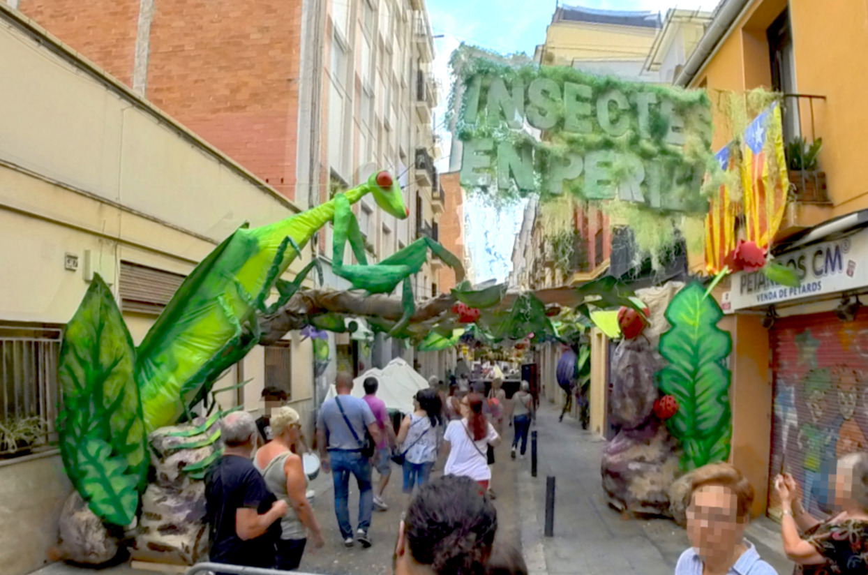 Insectes en Perill